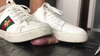 Gucci sneakers crush (no cum)